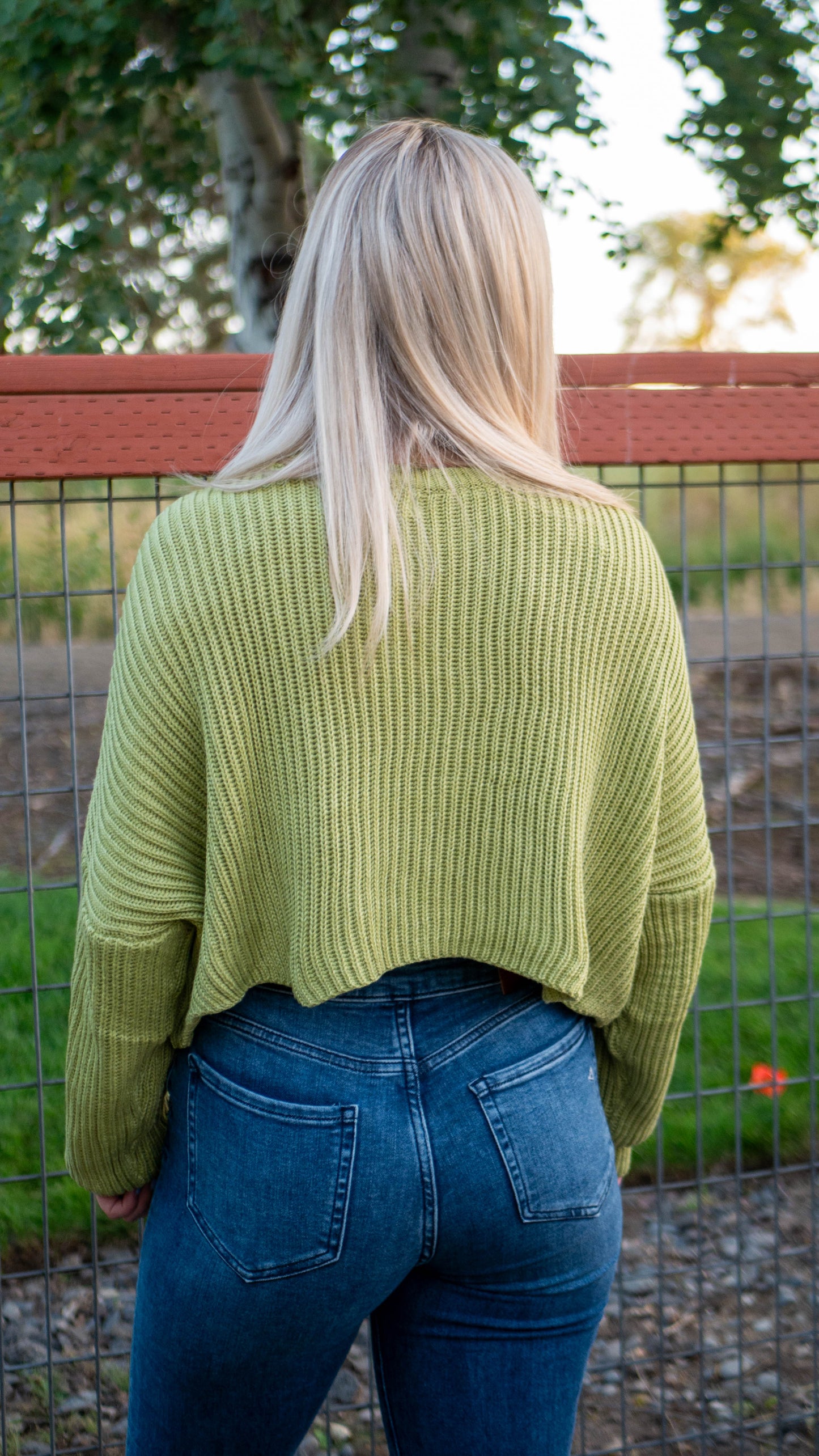 Colorful Fall Sweater