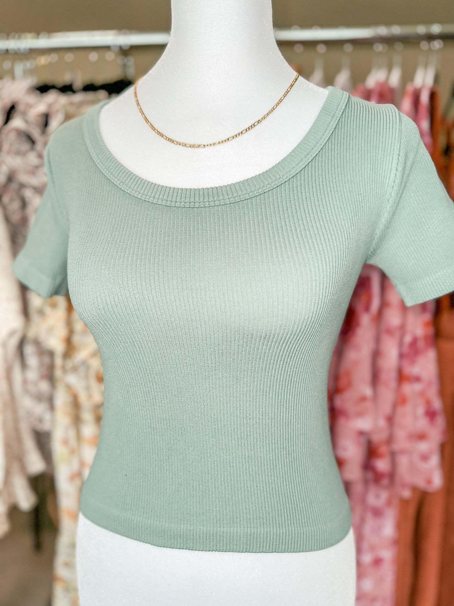 Ribbed Scoop Neck Crop Tee in Sage