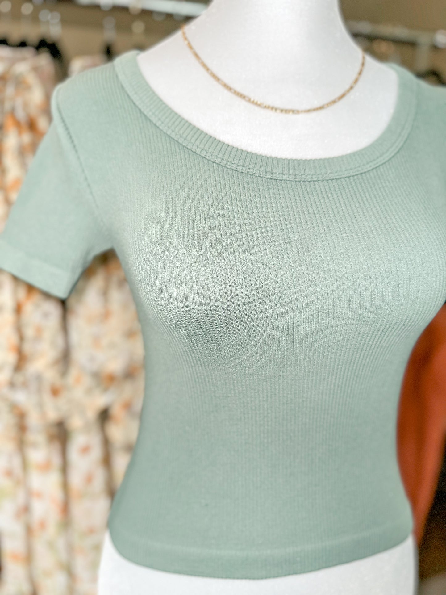 Ribbed Scoop Neck Crop Tee in Sage