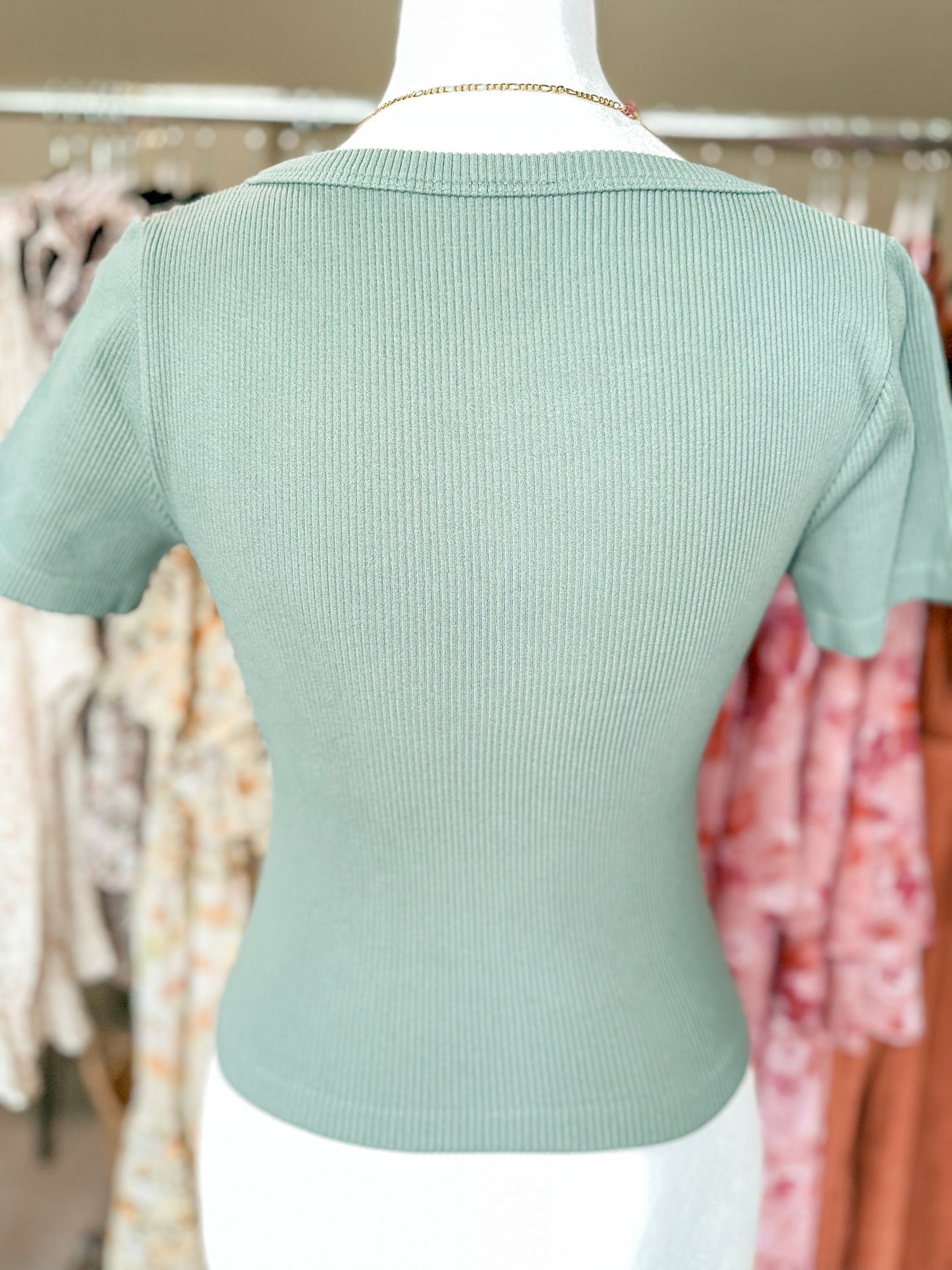 Ribbed Scoop Neck Crop Tee in Sage